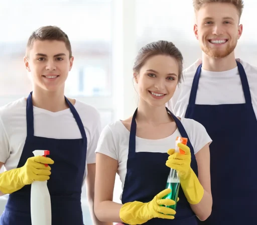 Professional Cleaners in London